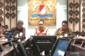 Kadin sebut regulasi perlu memberi ruang tumbuh ekonomi digital