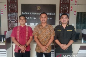 Karantina Papua Tengah rutin awasi komoditas, hewan dan tumbuhan di lima jalur masuk