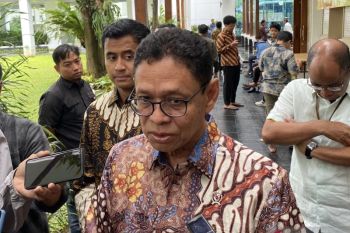 Indonesia pushes to spare local solar panels from US tariffs