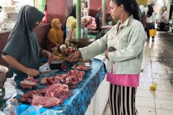 Pemotongan sapi di Mataram naik selama Ramadhan
