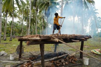 Koperasi Merah Putih Pam kirim 10,5 ton kopra ke Surabaya
