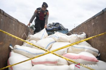 Foto - Polresta Samarinda amankan 9.880 kg "captikus" dari Manado