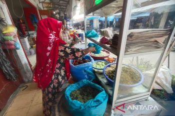 Pedagang pecel sayur diserbu pembeli selama Ramadhan