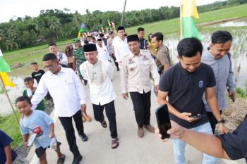 Dukung angkutan hasil sawah 200 ha, Banten bangun jalan di Lebak