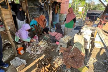 Kelompok Wanita Tani Embun Pagi ubah singkong jadi tepung mocaf