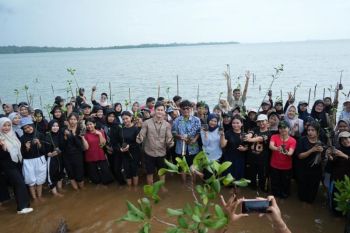 Indonesia seeks stronger youth role in mangrove rehabilitation