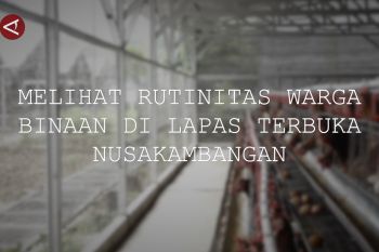Melihat rutinitas warga binaan di Lapas Terbuka Nusakambangan