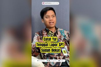 Catat ya! tenggat lapor SPT sudah dekat