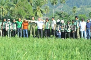 Bupati-Sigi: Produktivitas pertanian jaga stabilitas ekonomi daerah