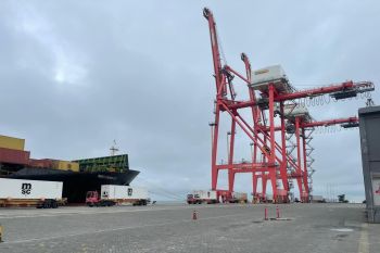 BNCT catat arus peti kemas di Sumut capai 51.419 TEUs Januari 2026