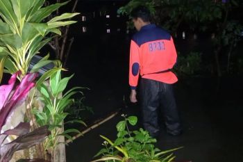 BPBD asesmen dampak banjir di Pakis Malang