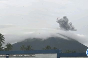 Badan Geologi catat getaran erupsi 50 detik Gunung Ibu Maluku Utara