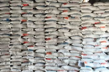 Bulog Belitung perkuat stok beras hadapi Idul Fitri 1447 Hijriah