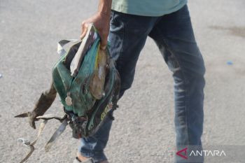 Hegseth: AS selidiki serangan ke sekolah Iran yang tewaskan 168 siswi