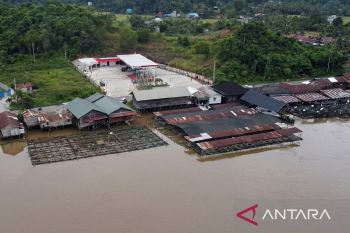 Pemprov Kaltim bina kampung budidaya ikan nila Kutai Kartanegara