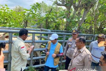 Sidang perdana minyak mentah, Hardjuno: Kejagung musti panggil pemilik 13 perusahaan yang diuntungkan Riza Chalid