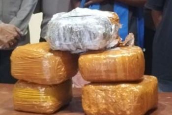 Polsek KPL Jayapura tangkap dua penyelundup bawa enam kilogram ganja gunakan KM Ciremai