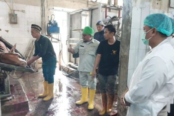DKP3 Kota Depok pastikan keamanan olahan daging dan produk pangan hewani