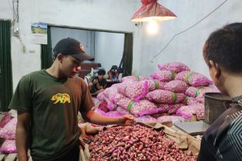 BPS catat inflasi tahunan Lampung Februari 2026 sebesar 2,95 persen