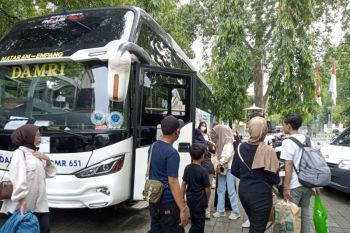 PKK NTB serukan aspek feminitas saat tangani kasus kekerasan perempuan