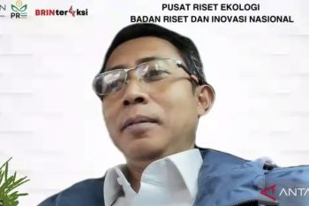 BRIN: Ekosistem padang lamun terancam akibat reklamasi dan pencemaran