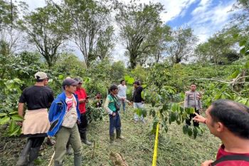 Polisi tangkap pelaku pembunuh seorang pria di Lampung Barat