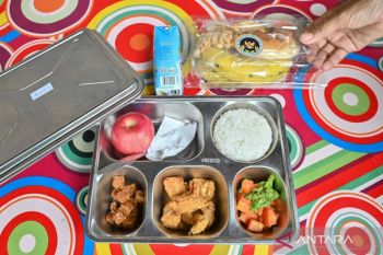 Ini MBG yang berpotensi picu gangguan pencernaan dari evaluasi BGN