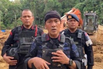 Polda Sumut sita 12 ekskavator tambang emas ilegal di Mandailing Natal