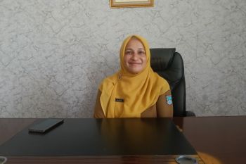 Dinkes Pasaman Barat pastikan tenaga kesehatan siap layani pemudik