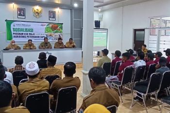 Kartu Sumbawa Barat Maju diluncurkan, Agribisnis sapi Bali digenjot