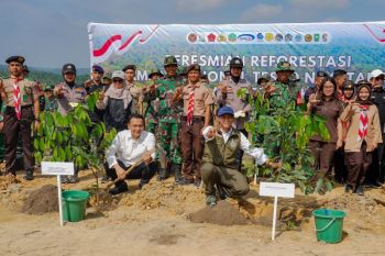 Kemenhut mulai restorasi TN Tesso Nilo targetkan pemulihan 66 ribu ha
