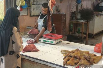 Harga daging sapi segar di Tanjungpinang tembus Rp160 ribu per kg