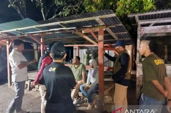 Tim Gabungan kembali tangkap jaringan perdagangan tapir di Pasaman