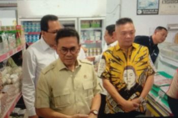 Kendalikan harga pangan, Mendag maksimalkan sistem pemantauan pasar