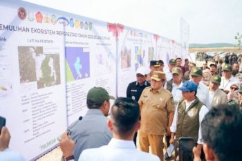 Menhut memastikan koridor gajah Riau segera tersambung
