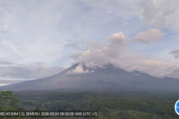 Gunung Semeru masih didominasi aktivitas gempa letusan