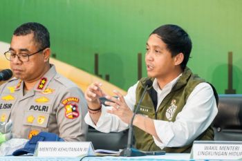 Menhut tegaskan adanya hukuman berat bagi pemburu Gajah Sumatera