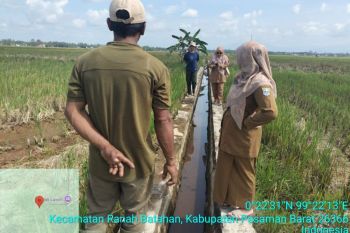 Pasaman Barat peroleh Rp6,14 miliar tangani dampak bencana pertanian