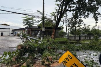 Puan: Budi Gunawan tak representasikan PDIP jika masuk kabinet