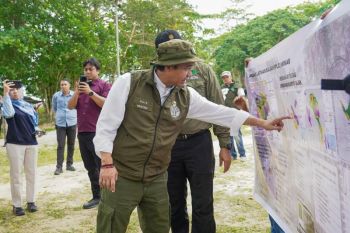 Menhut pastikan koridor gajah Sumatera di Riau segera tersambung