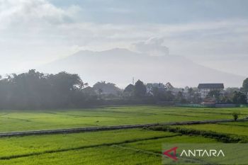 Badan Geologi: Aktivitas Gunung Marapi tunjukkan pola fluktuatif