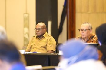 Pemprov Papua Tengah lindungi lahan sawah lewat dokumen RTRW untuk ketahanan pangan