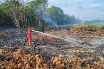 Menhut targetkan luasan karhutla menurun, pastikan kesiapsiagaan