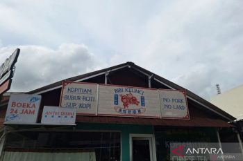 Ini kronologi pencurian di Bibi Kelinci hingga pemilik jadi tersangka