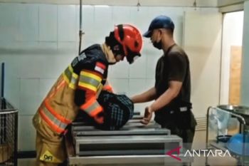 Seorang balita meninggal dalam kebakaran rumah kontrakan di Tegallega Bogor