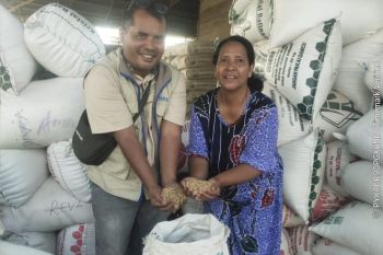 Bulog Rejang Lebong serap 1.200 ton gabah petani akhir Februari 2026