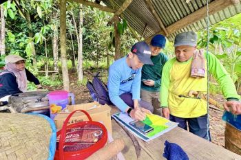 Dishut Kalsel verifikasi lokasi "agroforestry" FOLU di Tabalong