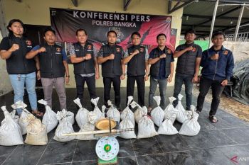Satreskrim Polres Bangka amankan 24 karung bijih timah ilegal