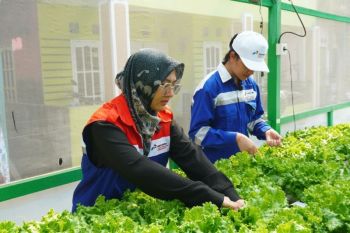 Pertamina Patra Niaga berdayakan perempuan di 49 lokasi tanah air