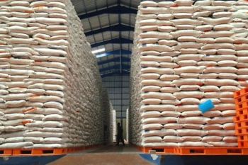 Bulog pastikan stok beras nasional aman di tengah gejolak Timur Tengah